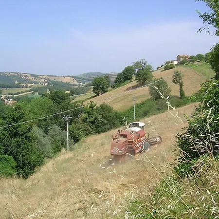 Agriturismo Serena * Assisi