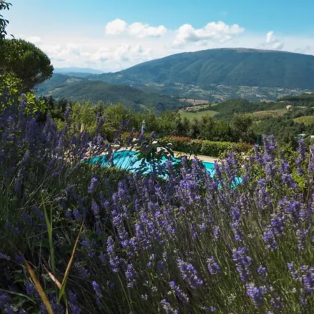 Agriturismo Serena
