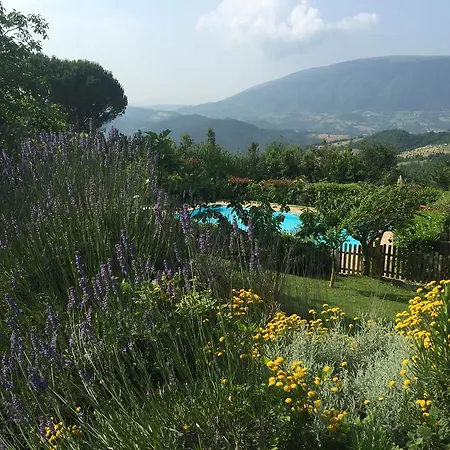 Farm stay Agriturismo Serena Assisi