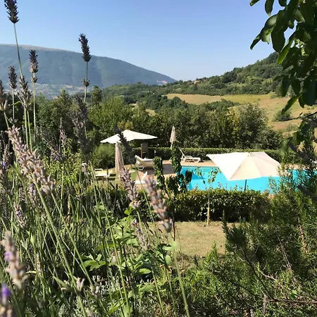 Agriturismo Serena Farm stay *