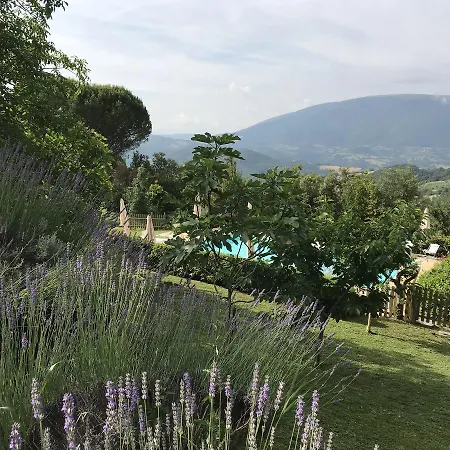 Agriturismo Serena Farm stay Assisi